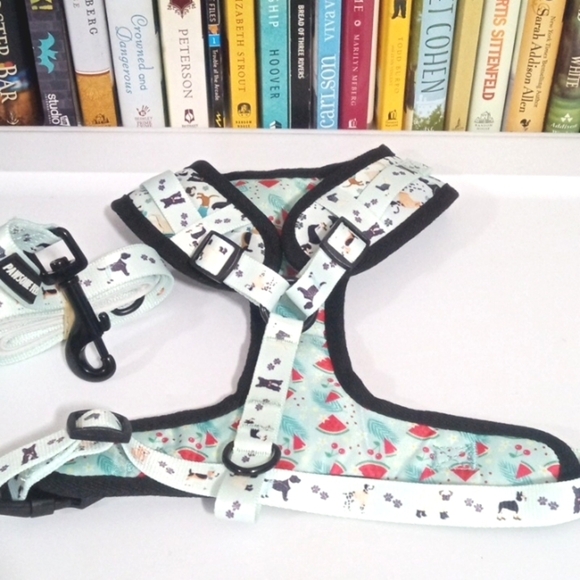 PAWSOME PET DOG HARNESS AND LEASH 2PC SET SIZE MEDIUM NWOT - Picture 2 of 9